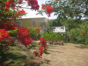 Property grounds - Gingerbread Cottage 2 bed with pool, seaviews, Nr Holetown St. James (Mount Standfast)