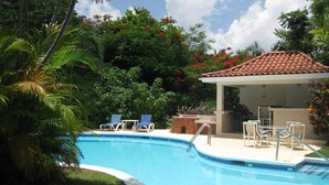 A swimming pool with lounge chairs and a barbecue area, surrounded by lush greenery and a clear sky.