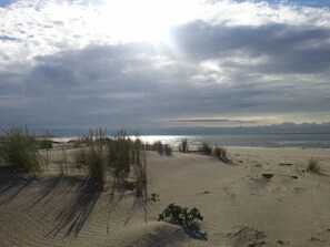 بالقرب من الشاطئ