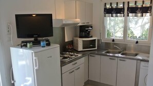 A compact kitchen with a refrigerator, microwave, stove, sink, and a television.