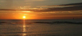 Leie Type T2 'Spirit of the Sea' Trend Turkis.