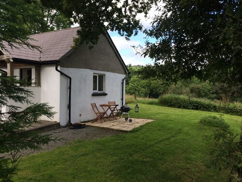 Situation fantastique au bord de la forêt de Brechfa.