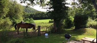 Fantastic situation on the edge of the Brechfa Forest.