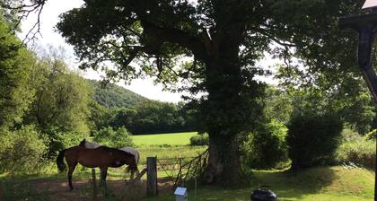 Fantastic situation on the edge of the Brechfa Forest.