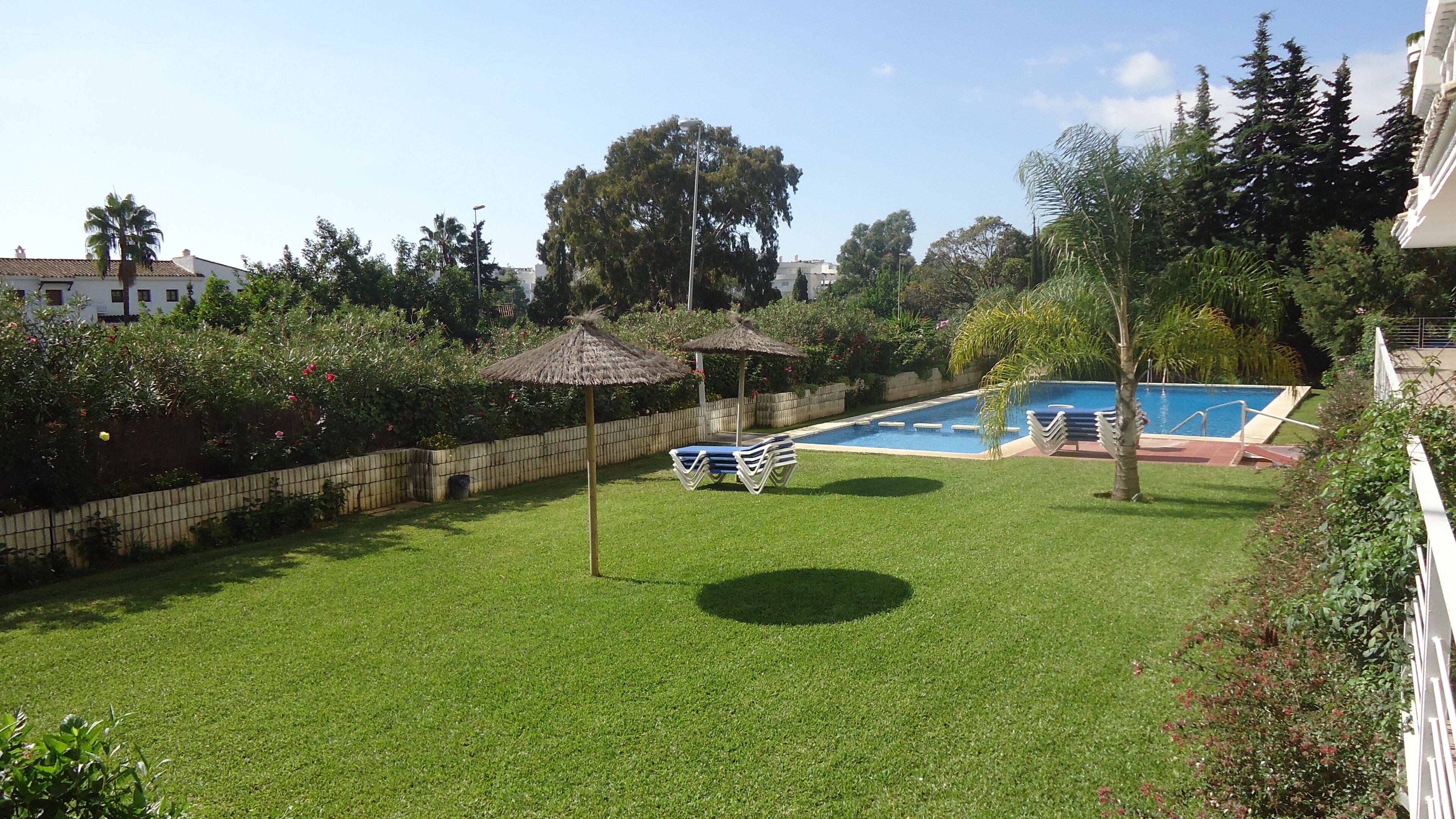 A backyard with a swimming pool, a grassy lawn, and a wooden fence.