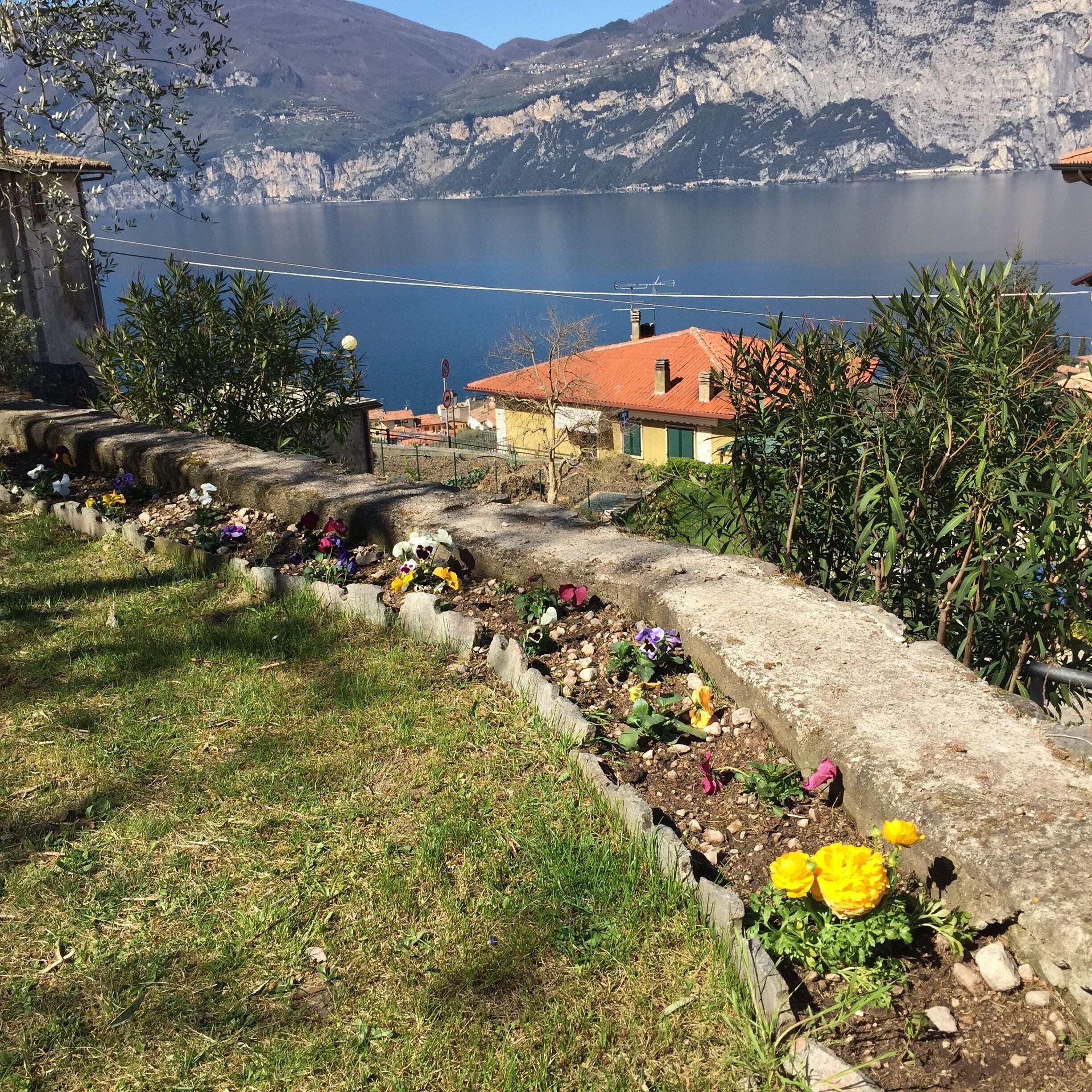 Terrain de l’hébergement 