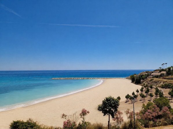 Une plage avec un ciel dégagé, un rivage sablonneux et une rangée d’arbres.