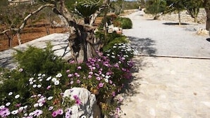 A stone pathway leading through a garden with a large olive tree and various flowers. - Villa with private pool, situated in the heart of the Pollensa countryside (Pollença)