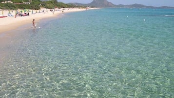 En la playa y camastros