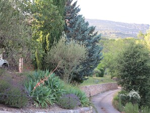 Property grounds - House with outdoor pool in a beautiful setting (Bargemon)