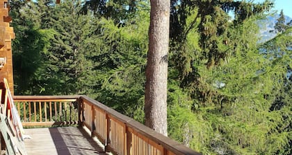 grand chalet traditionnel au pied des pistes