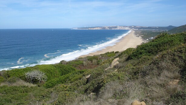 A coastal landscape with a beach, greenery, and a distant cityscape. - Beautiful villa for 8 people with private pool close to the beach (São Martinho do Porto)