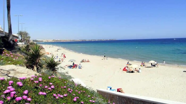Ein Strand mit klarem, blauem Wasser, Menschen, die sich sonnen, und Palmen.