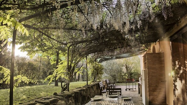 An outdoor dining area with a stone wall, wooden table, and chairs, surrounded by greenery and a pergola. - VILLA GLICINI: A romantic countryside cottage with a pool (Ostra)