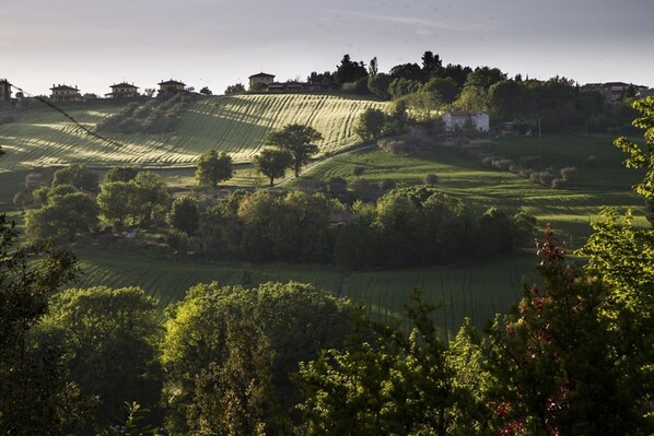 A rural landscape with rolling hills, scattered trees, and a few buildings on the hillsides.
