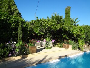 Pool - Roussillon Gargas: Mansion - Roussillon (Gargas)