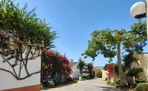 Property grounds - VILA PLANALTO -GOLF- Between golf and the sea (Vilamoura)