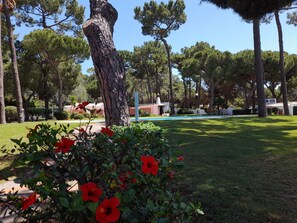 Property grounds - VILA PLANALTO -GOLF- Between golf and the sea (Vilamoura)