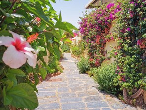 A stone pathway flanked by lush greenery and flowering plants, leading to a building with a white facade. - VILA PLANALTO -GOLF- Between golf and the sea (Vilamoura)