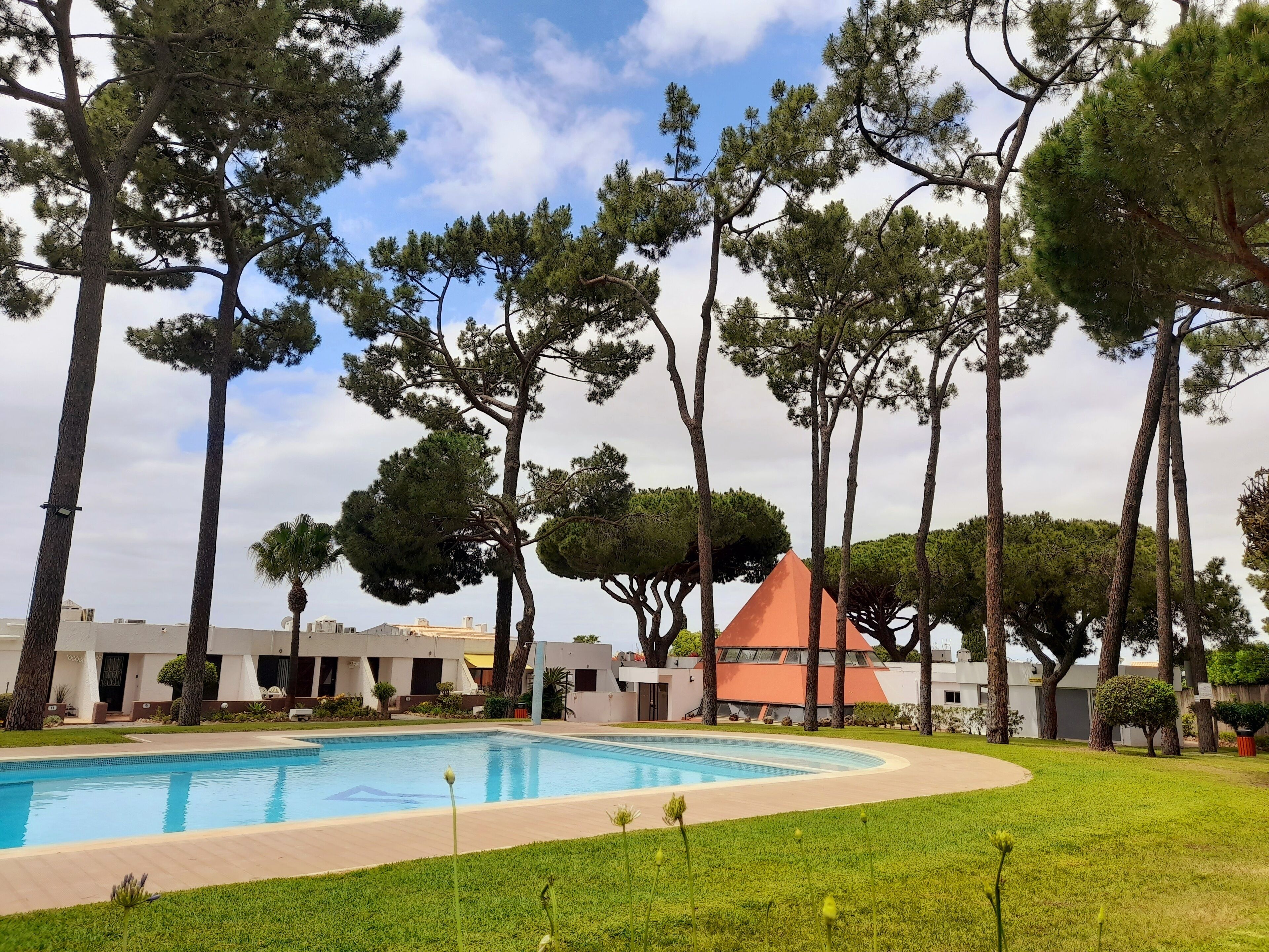 A pool surrounded by tall trees and a building with a unique roof.
