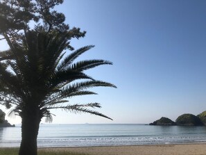 A beach with a palm tree and calm sea. - Guesthouse SORA - Hostel (Minamiizu)