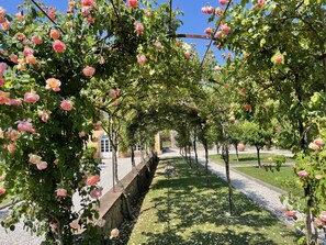 المنطقة المحيطة بالمنشأة