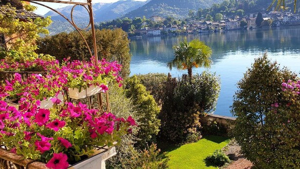 Un jardin aux fleurs roses éclatantes, avec une vue sur un lac et des bâtiments en arrière-plan.