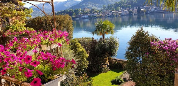 Àrea exterior de l'allotjament