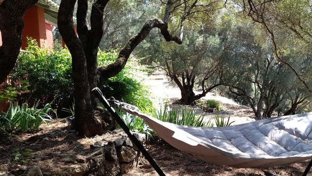 Uma rede estendida entre árvores numa área arborizada, com um caminho de pedra e vegetação.