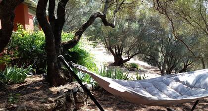 Olmeto Plage: casas / villas - 2 cuartos - 4 Personas