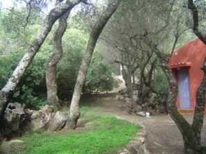 Property grounds - Olmeto Plage: houses / villas - 2 rooms - 4 persons (Olmeto)