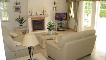 Smart TV, chimenea, reproductor de DVD y libros