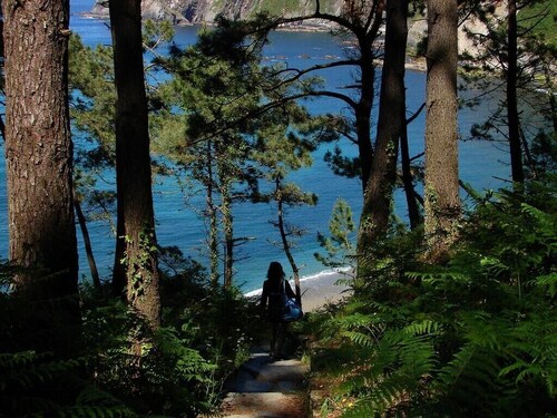 5 Bedroom house, garden, barbecue, WIFI, games room,  0.9 miles from the beach