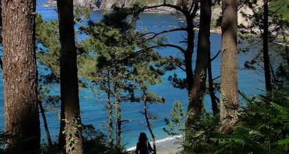 5 Bedroom house, garden, barbecue, WIFI, games room, 0.9 miles from the beach