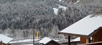 Luksus Enebolig Ski Chalet