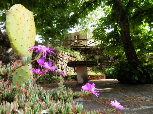 Quinta da Azenha avec piscine privée