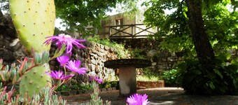 Quinta da Azenha mit eigenem Pool