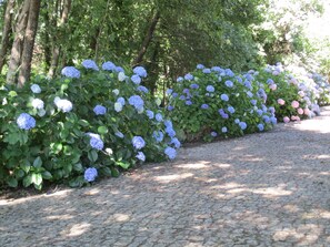 Jardines del alojamiento