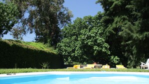 Une piscine entourée d’une végétation luxuriante et d’arbres.