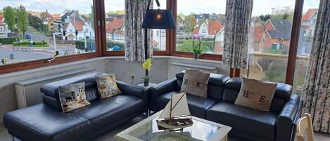 Televisie, een dvd-speler en boeken