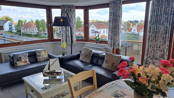 TV, DVD player, books