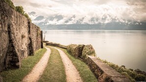 A pathway leading to a body of water with a stone wall on one side and a grassy area on the other.