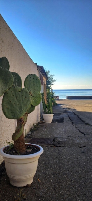 Property grounds - Mermaid' house close to beach , two suite bedroom sea view for 6 people  (Taormina Letojanni)