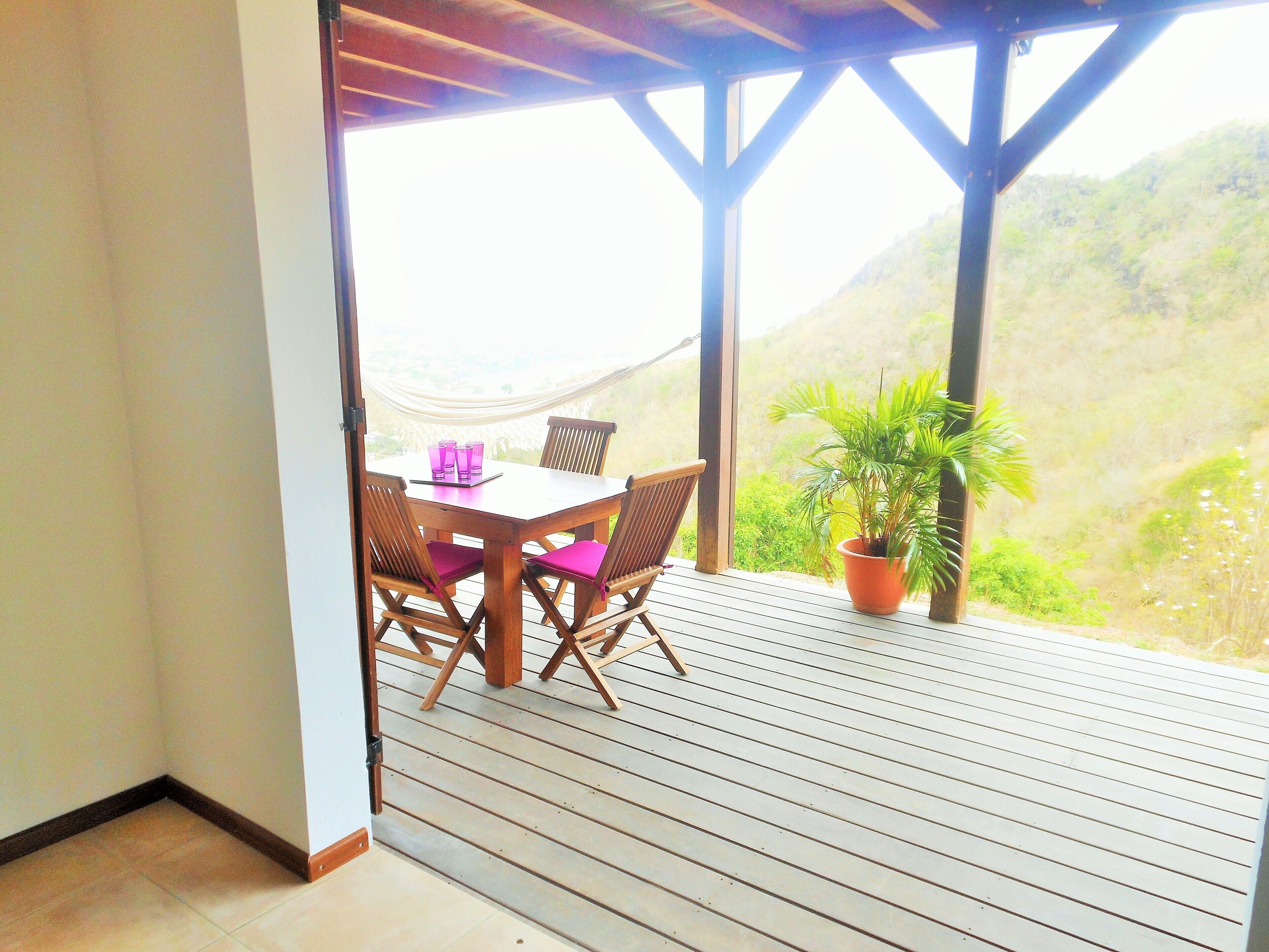 Une terrasse en bois avec une table et des chaises, un pot de fleurs et une vue sur une colline.