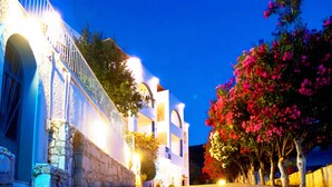 A building with a stone facade, a balcony, and a tree with pink flowers. - Large group villa with pool, in Attica, Marathon, Sesi beach (Marathon)