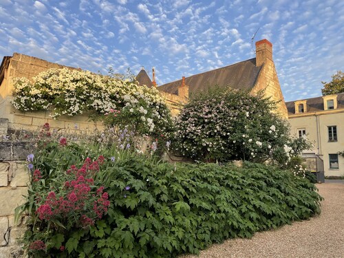 Tastefully furnished 4 star gîte in historical village of Fontevraud l'Abbaye