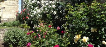 Tastefully furnished 4 star gîte in historical village of Fontevraud l'Abbaye