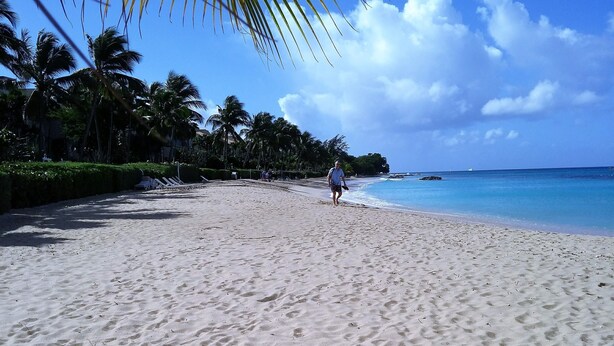 Ein sandiger Strand mit Palmen und blauem Himmel.