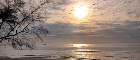 A beach with a boat in the distance, a tree on the left, and a cloudy sky.