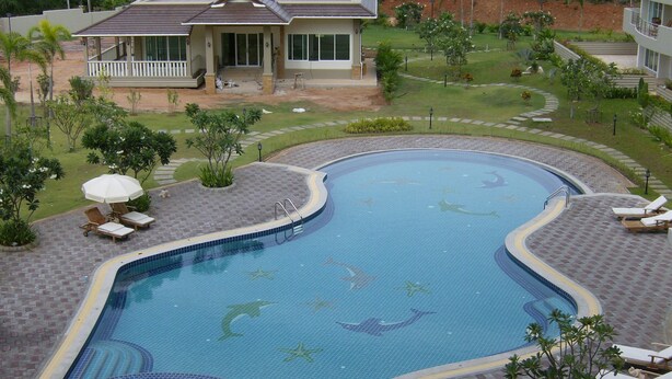 Une piscine décorée de motifs de dauphins, entourée de chaises longues et de parasols.
